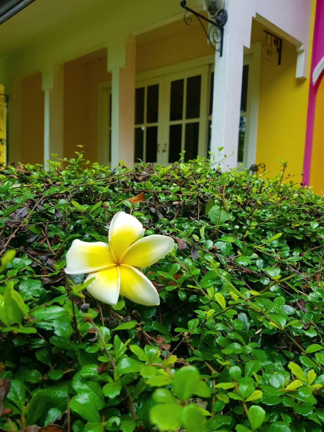 Baan Kung Kang De Pai Hotel Exterior photo